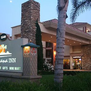 Tropicana Inn & Suites